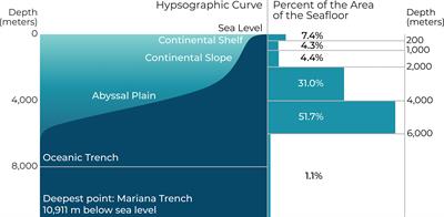 Low-Cost, Deep-Sea Imaging and Analysis Tools for Deep-Sea Exploration: A Collaborative Design Study